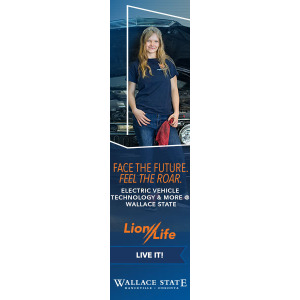 Wallace_Lion-Life-23_Display_Electric-Vehicle_160x600
